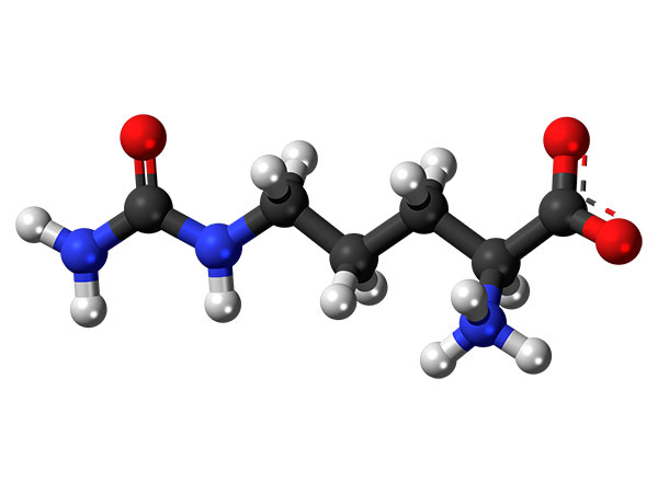 L-Citrulín